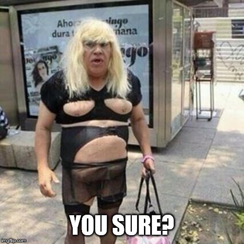 Ugly guy | YOU SURE? | image tagged in tranny | made w/ Imgflip meme maker