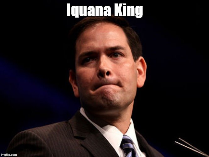 Marco Rubio | Iquana King | image tagged in marco rubio | made w/ Imgflip meme maker