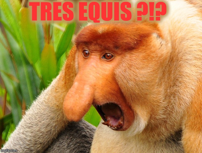 Janusz monkey screaming | TRES EQUIS ?!? | image tagged in janusz monkey screaming | made w/ Imgflip meme maker