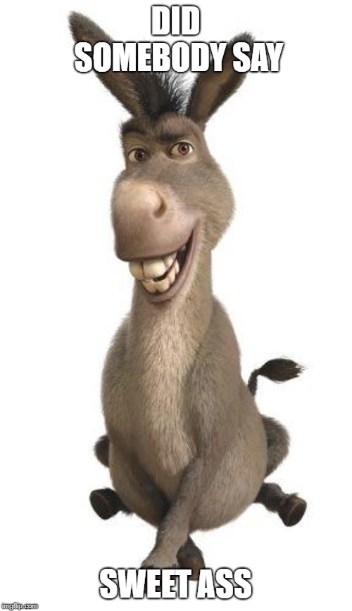 Donkey from Shrek | DID SOMEBODY SAY SWEET ASS | image tagged in donkey from shrek | made w/ Imgflip meme maker