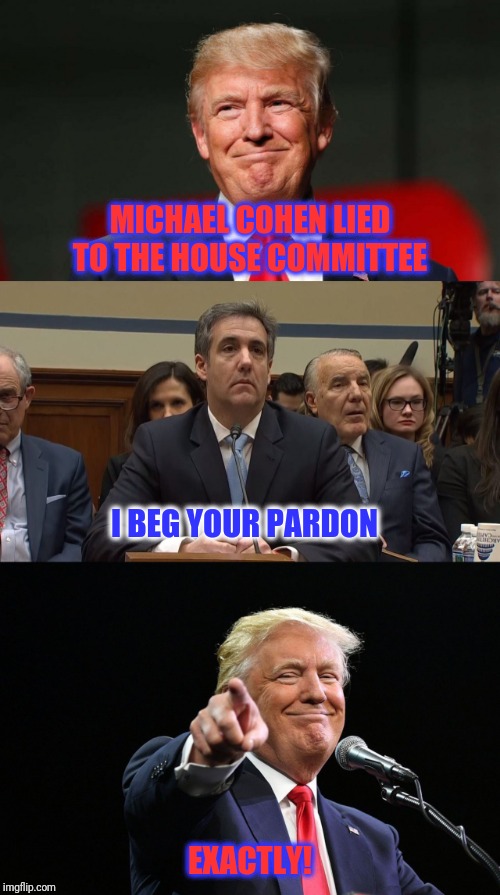Pardon me! | MICHAEL COHEN LIED TO THE HOUSE COMMITTEE; I BEG YOUR PARDON; EXACTLY! | image tagged in donald trump,michael cohen,pardon,lie | made w/ Imgflip meme maker