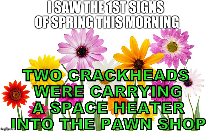 Spring Flowers | I SAW THE 1ST SIGNS OF SPRING THIS MORNING; TWO CRACKHEADS WERE CARRYING A SPACE HEATER INTO THE PAWN SHOP | image tagged in spring flowers | made w/ Imgflip meme maker
