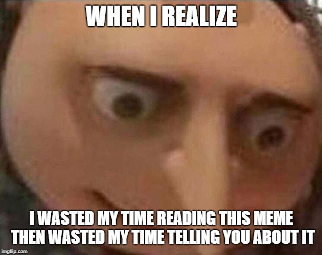 gru meme | WHEN I REALIZE I WASTED MY TIME READING THIS MEME THEN WASTED MY TIME TELLING YOU ABOUT IT | image tagged in gru meme | made w/ Imgflip meme maker