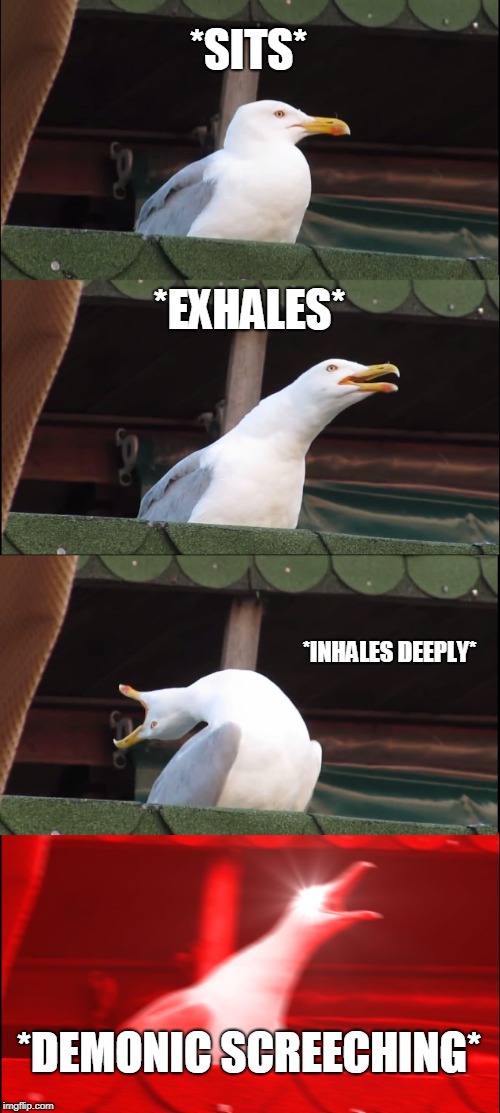 Inhaling Seagull Meme | *SITS*; *EXHALES*; *INHALES DEEPLY*; *DEMONIC SCREECHING* | image tagged in memes,inhaling seagull | made w/ Imgflip meme maker