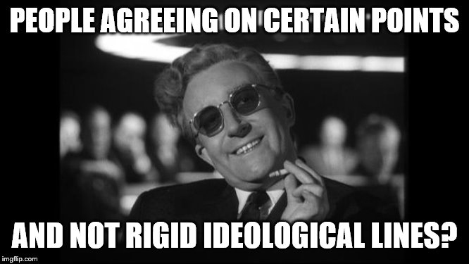 dr strangelove | PEOPLE AGREEING ON CERTAIN POINTS AND NOT RIGID IDEOLOGICAL LINES? | image tagged in dr strangelove | made w/ Imgflip meme maker