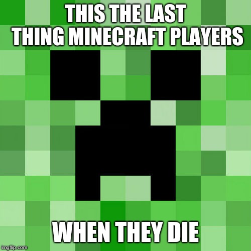 Scumbag Minecraft | THIS THE LAST THING MINECRAFT PLAYERS; WHEN THEY DIE | image tagged in memes,scumbag minecraft | made w/ Imgflip meme maker