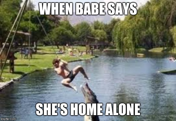 WHEN BABE SAYS; SHE'S HOME ALONE | image tagged in funny | made w/ Imgflip meme maker