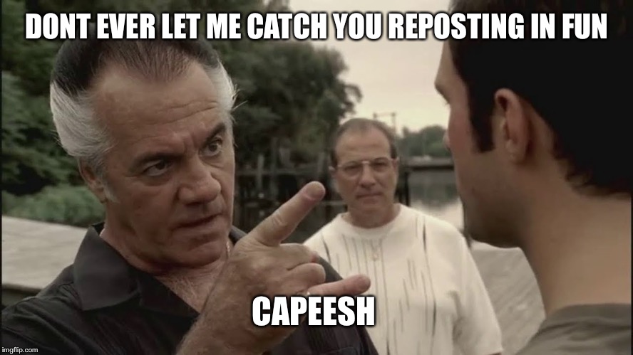 When the fun section flexes its muscles  | DONT EVER LET ME CATCH YOU REPOSTING IN FUN; CAPEESH | image tagged in sapranos,repost | made w/ Imgflip meme maker