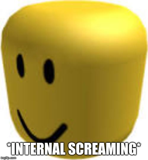 Roblox head | *INTERNAL SCREAMING* | image tagged in roblox head | made w/ Imgflip meme maker