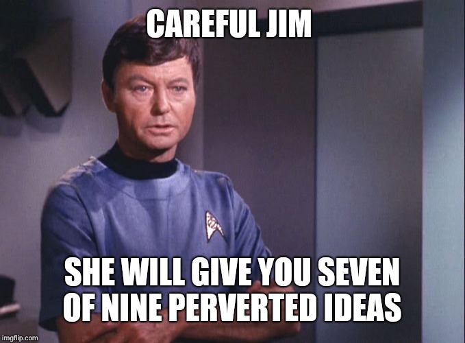 Dr. McCoy | CAREFUL JIM SHE WILL GIVE YOU SEVEN OF NINE PERVERTED IDEAS | image tagged in dr mccoy | made w/ Imgflip meme maker