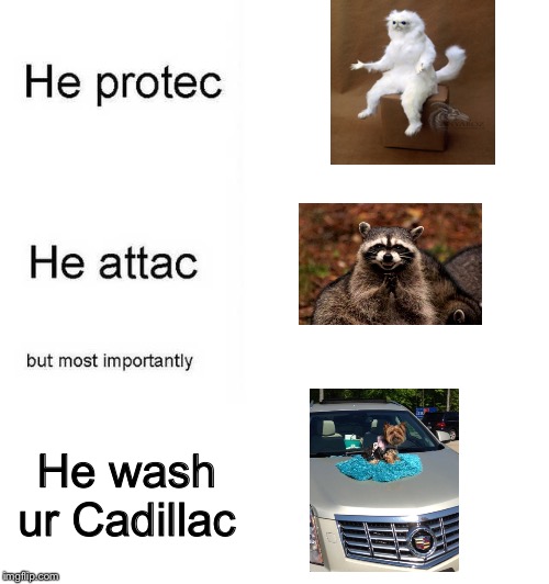 He protec he attac but most importantly | He wash ur Cadillac | image tagged in he protec he attac but most importantly | made w/ Imgflip meme maker