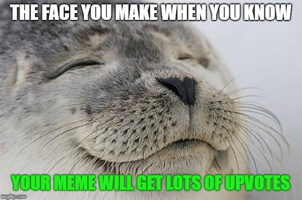 Satisfied Seal Meme | THE FACE YOU MAKE WHEN YOU KNOW; YOUR MEME WILL GET LOTS OF UPVOTES | image tagged in memes,satisfied seal | made w/ Imgflip meme maker