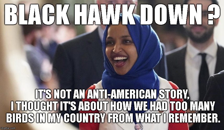 Rep. Ilhan Omar | BLACK HAWK DOWN ? IT'S NOT AN ANTI-AMERICAN STORY, I THOUGHT IT'S ABOUT HOW WE HAD TOO MANY BIRDS IN MY COUNTRY FROM WHAT I REMEMBER. | image tagged in rep ilhan omar | made w/ Imgflip meme maker