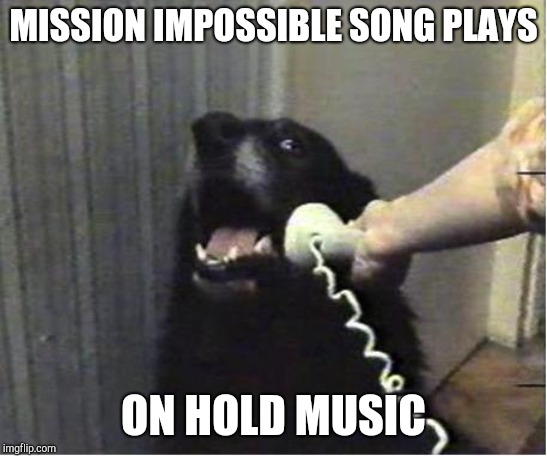 Yes this is dog | MISSION IMPOSSIBLE SONG PLAYS ON HOLD MUSIC | image tagged in yes this is dog | made w/ Imgflip meme maker