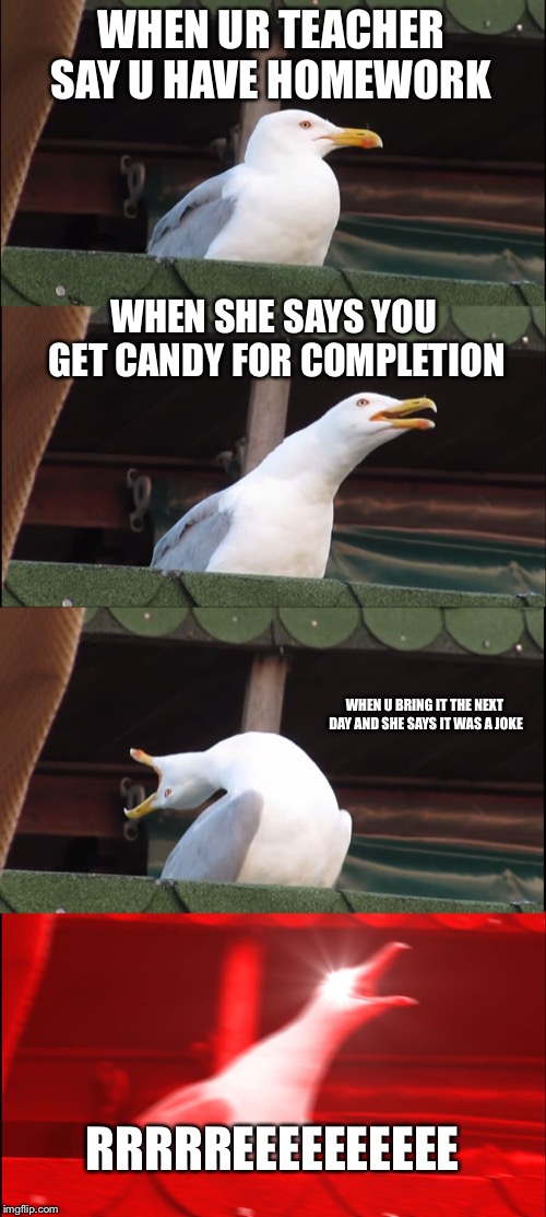 Inhaling Seagull | WHEN UR TEACHER SAY U HAVE HOMEWORK; WHEN SHE SAYS YOU GET CANDY FOR COMPLETION; WHEN U BRING IT THE NEXT DAY AND SHE SAYS IT WAS A JOKE; RRRRREEEEEEEEEE | image tagged in memes,inhaling seagull | made w/ Imgflip meme maker