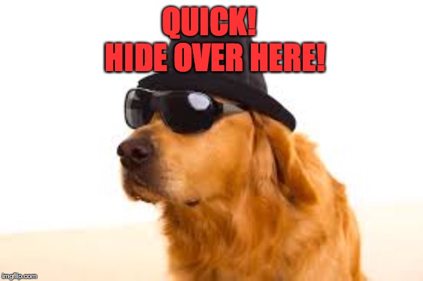 QUICK!  HIDE OVER HERE! | made w/ Imgflip meme maker