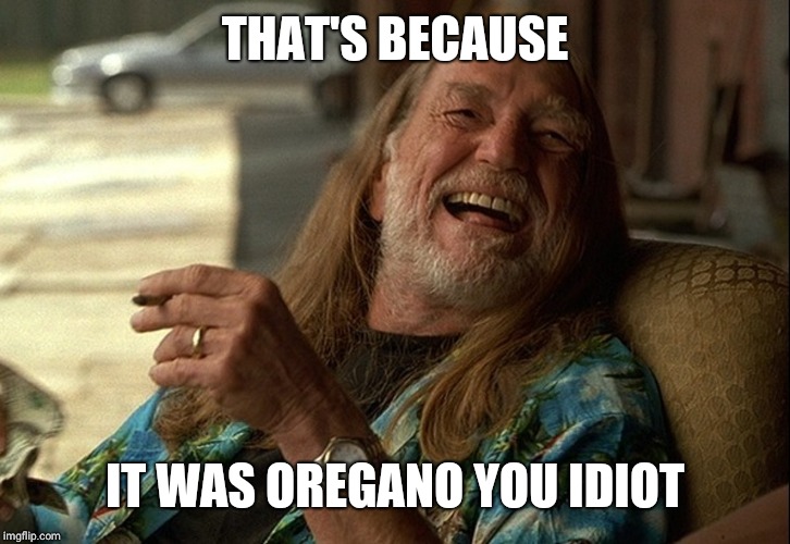 Willie Nelson died | THAT'S BECAUSE IT WAS OREGANO YOU IDIOT | image tagged in willie nelson died | made w/ Imgflip meme maker