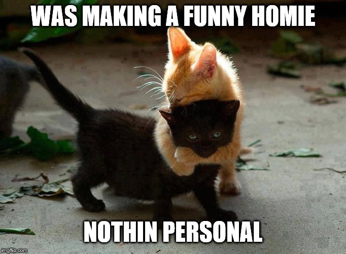 kitten hug | WAS MAKING A FUNNY HOMIE NOTHIN PERSONAL | image tagged in kitten hug | made w/ Imgflip meme maker