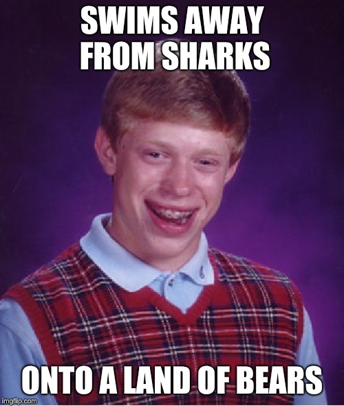 Bad Luck Brian | SWIMS AWAY FROM SHARKS; ONTO A LAND OF BEARS | image tagged in memes,bad luck brian | made w/ Imgflip meme maker