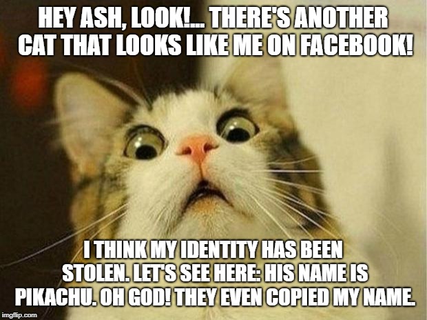 Scared Cat Meme | HEY ASH, LOOK!... THERE'S ANOTHER CAT THAT LOOKS LIKE ME ON FACEBOOK! I THINK MY IDENTITY HAS BEEN STOLEN. LET'S SEE HERE: HIS NAME IS PIKACHU.
OH GOD! THEY EVEN COPIED MY NAME. | image tagged in memes,scared cat | made w/ Imgflip meme maker