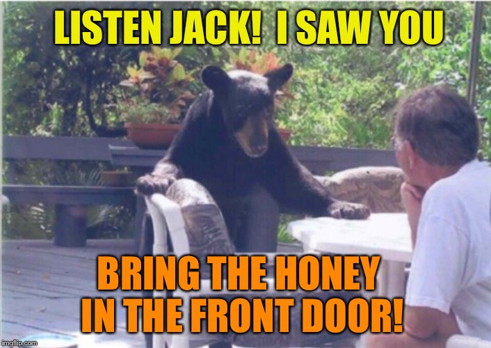 Jack better be nimble.  And quick! | LISTEN JACK!  I SAW YOU; BRING THE HONEY IN THE FRONT DOOR! | image tagged in bear,memes,funny animals,funny memes | made w/ Imgflip meme maker
