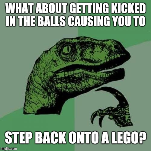 Philosoraptor Meme | WHAT ABOUT GETTING KICKED IN THE BALLS CAUSING YOU TO STEP BACK ONTO A LEGO? | image tagged in memes,philosoraptor | made w/ Imgflip meme maker