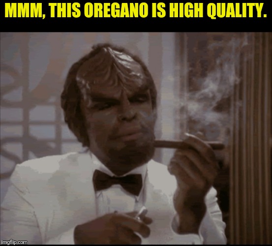 Getting Spiced | MMM, THIS OREGANO IS HIGH QUALITY. | image tagged in star trek the next generation,worf,getting high | made w/ Imgflip meme maker