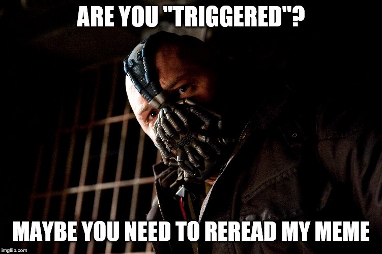 ARE YOU "TRIGGERED"? MAYBE YOU NEED TO REREAD MY MEME | made w/ Imgflip meme maker