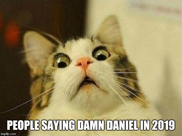 Scared Cat Meme | PEOPLE SAYING DAMN DANIEL IN 2019 | image tagged in memes,scared cat | made w/ Imgflip meme maker