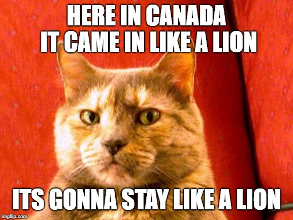 Suspicious Cat Meme | HERE IN CANADA IT CAME IN LIKE A LION ITS GONNA STAY LIKE A LION | image tagged in memes,suspicious cat | made w/ Imgflip meme maker
