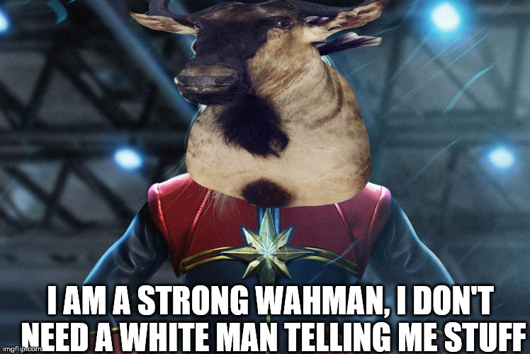 I AM A STRONG WAHMAN, I DON'T NEED A WHITE MAN TELLING ME STUFF | image tagged in brie larson,feminism,captain marvel,angry feminist,funny meme | made w/ Imgflip meme maker