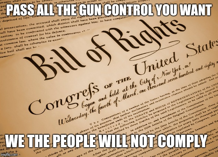 We the people | PASS ALL THE GUN CONTROL YOU WANT; WE THE PEOPLE WILL NOT COMPLY | image tagged in 2a,2nd amendment,gun control,guns save lives,shall shall not be infringed | made w/ Imgflip meme maker