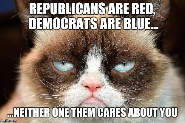 The Truth | REPUBLICANS ARE RED, DEMOCRATS ARE BLUE... ...NEITHER ONE THEM CARES ABOUT YOU | image tagged in memes,grumpy cat not amused,grumpy cat | made w/ Imgflip meme maker