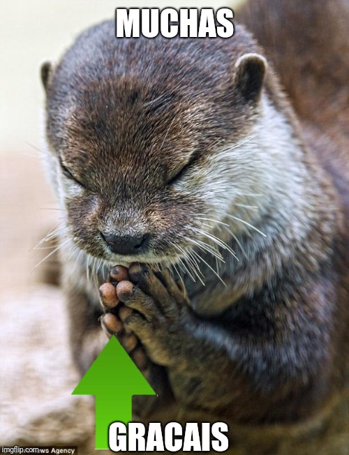 Thank you Lord Otter | MUCHAS GRACAIS | image tagged in thank you lord otter | made w/ Imgflip meme maker
