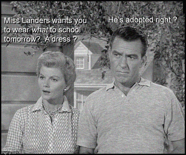 Beaver Cleaver wears a dress | image tagged in leave it to beaver,lol so funny,funny memes,classic tv,june cleaver,babes | made w/ Imgflip meme maker