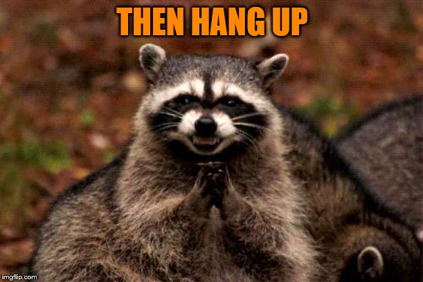 Evil Plotting Raccoon Meme | THEN HANG UP | image tagged in memes,evil plotting raccoon | made w/ Imgflip meme maker