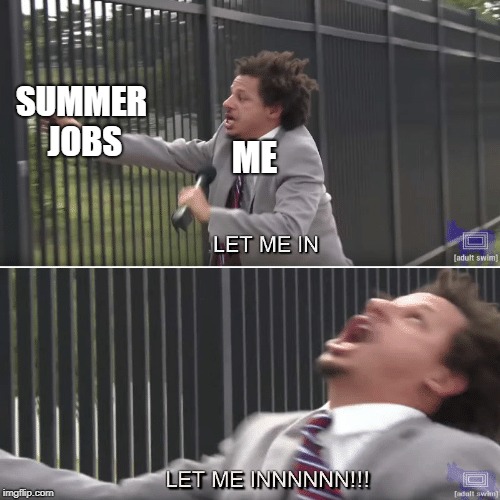 Let Me In | SUMMER JOBS; ME | image tagged in eric andre let me in meme,job,summer | made w/ Imgflip meme maker