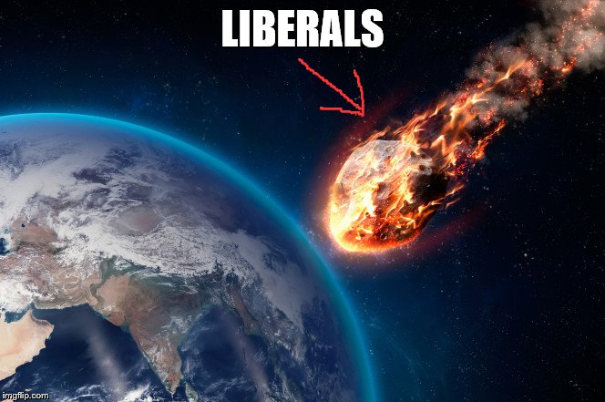 LIBERALS | image tagged in liberals,meteor,funny | made w/ Imgflip meme maker