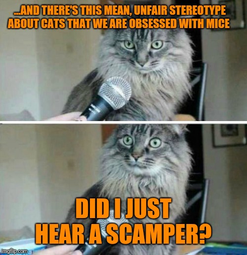 And just like that, the interview was terminated | ...AND THERE'S THIS MEAN, UNFAIR STEREOTYPE ABOUT CATS THAT WE ARE OBSESSED WITH MICE; DID I JUST HEAR A SCAMPER? | image tagged in memes,cats,cat newspaper,the interview,cnn very fake news,go home youre drunk | made w/ Imgflip meme maker