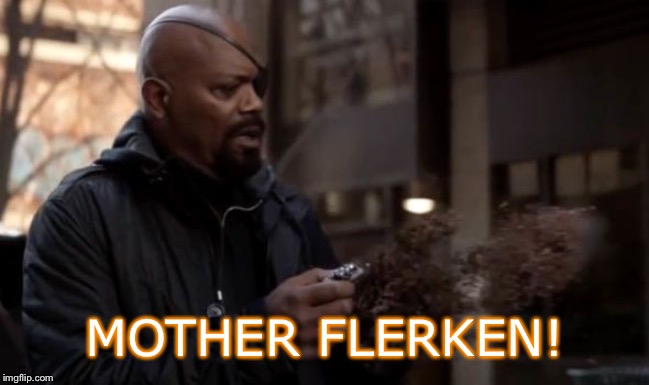 What Fury was really going to say. | MOTHER FLERKEN! | image tagged in nick fury,avengers infinity war,captain marvel,thanos snap,avengers | made w/ Imgflip meme maker