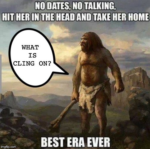 caveman days | WHAT IS CLING ON? | image tagged in caveman days | made w/ Imgflip meme maker