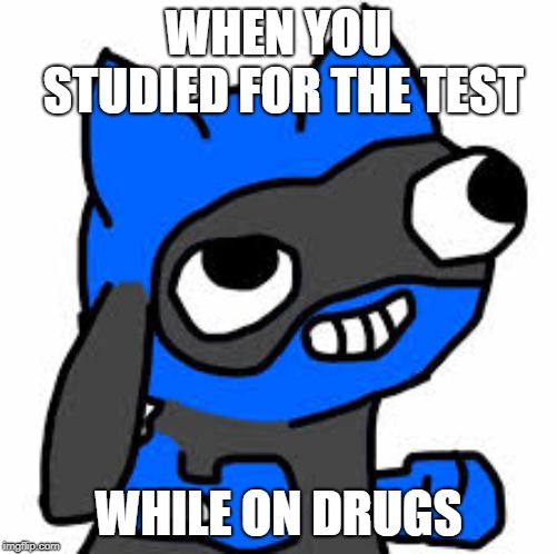 Riolu Memes | WHEN YOU STUDIED FOR THE TEST; WHILE ON DRUGS | image tagged in memes | made w/ Imgflip meme maker