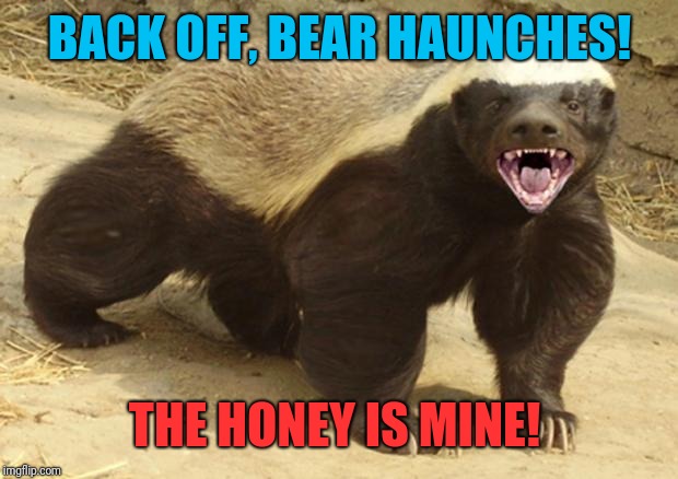 Honey badger | BACK OFF, BEAR HAUNCHES! THE HONEY IS MINE! | image tagged in honey badger | made w/ Imgflip meme maker