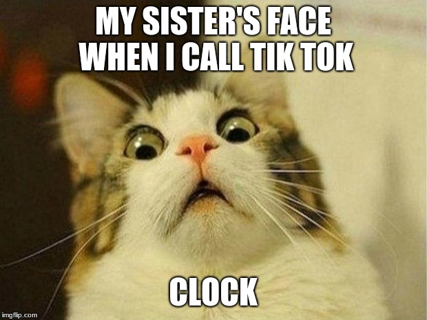 Scared Cat Meme | MY SISTER'S FACE WHEN I CALL TIK TOK; CLOCK | image tagged in memes,scared cat | made w/ Imgflip meme maker