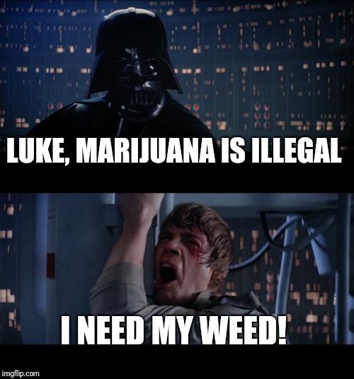 Star Wars No Meme | LUKE, MARIJUANA IS ILLEGAL I NEED MY WEED! | image tagged in memes,star wars no | made w/ Imgflip meme maker