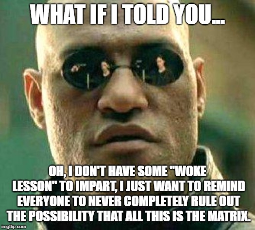 What if i told you | WHAT IF I TOLD YOU... OH, I DON'T HAVE SOME "WOKE LESSON" TO IMPART, I JUST WANT TO REMIND EVERYONE TO NEVER COMPLETELY RULE OUT THE POSSIBILITY THAT ALL THIS IS THE MATRIX. | image tagged in what if i told you | made w/ Imgflip meme maker
