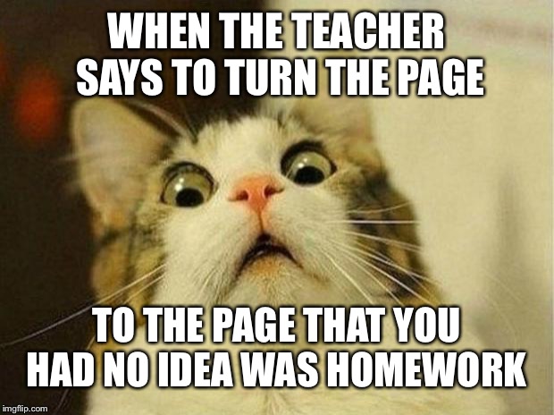 Scared Cat | WHEN THE TEACHER SAYS TO TURN THE PAGE; TO THE PAGE THAT YOU HAD NO IDEA WAS HOMEWORK | image tagged in memes,scared cat | made w/ Imgflip meme maker