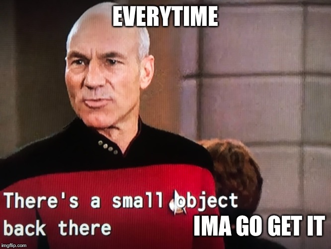 Picard on nearby objects no matter what | EVERYTIME; IMA GO GET IT | image tagged in picard,captain picard,small,the end is near,chase | made w/ Imgflip meme maker