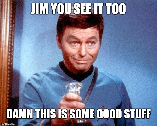 Dr McCoy bong | JIM YOU SEE IT TOO DAMN THIS IS SOME GOOD STUFF | image tagged in dr mccoy bong | made w/ Imgflip meme maker