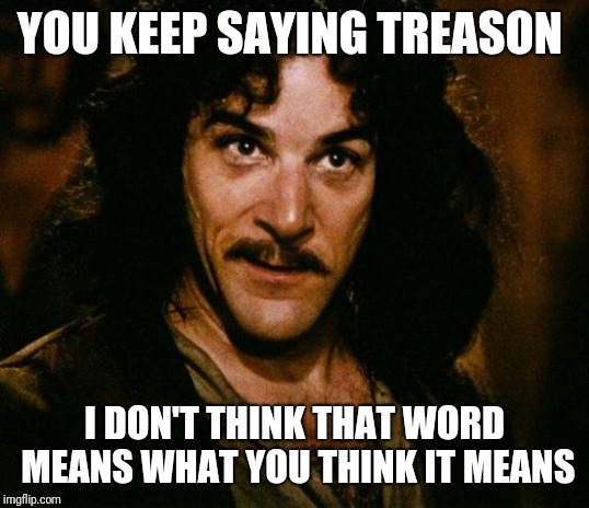 Inigo Montoya Meme | YOU KEEP SAYING TREASON I DON'T THINK THAT WORD MEANS WHAT YOU THINK IT MEANS | image tagged in memes,inigo montoya | made w/ Imgflip meme maker